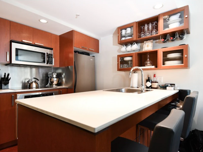 508 - 1255 Seymour Street, Vancouver BC V6B 0H1