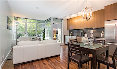 301-251 E 7th Avenue, Vancouver, BC, V5T 0B9