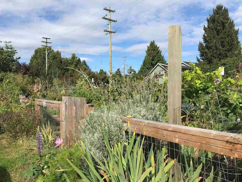 102 - 1990 W 6th Avenue, Vancouver BC V6J 4V4