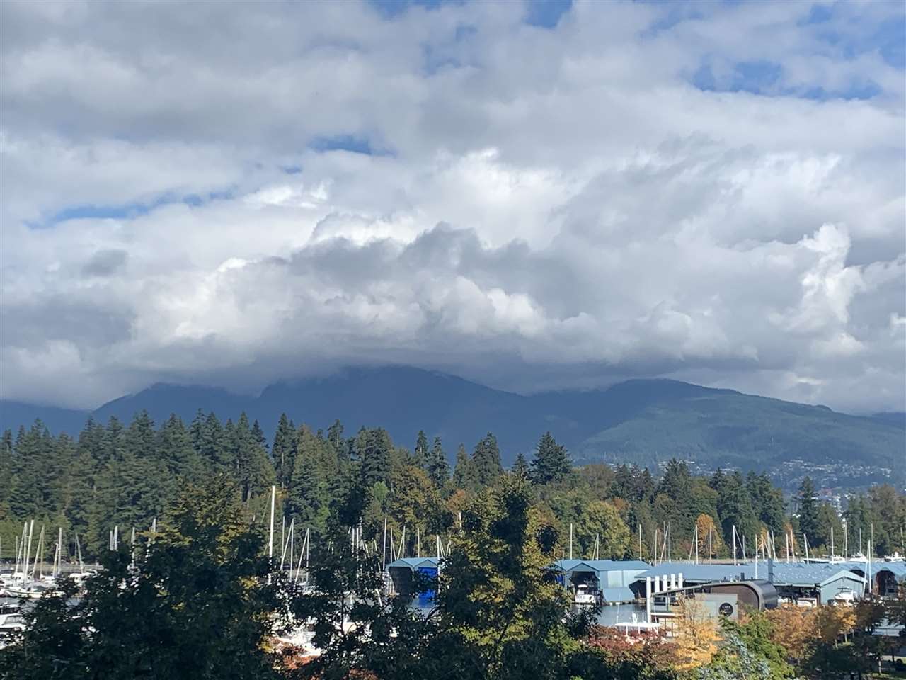 303-1680 Bayshore Dr  