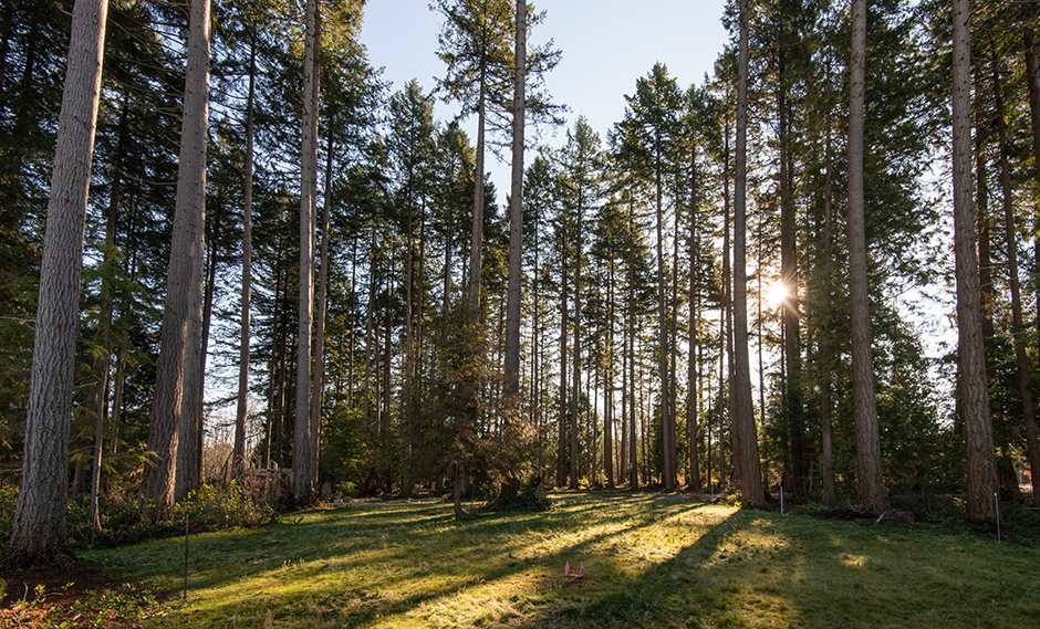 1301-5410 Shortcut Rd  