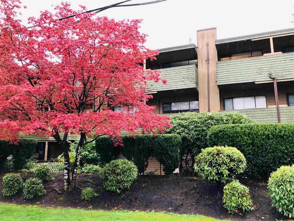 302-33400 Bourquin Pl  