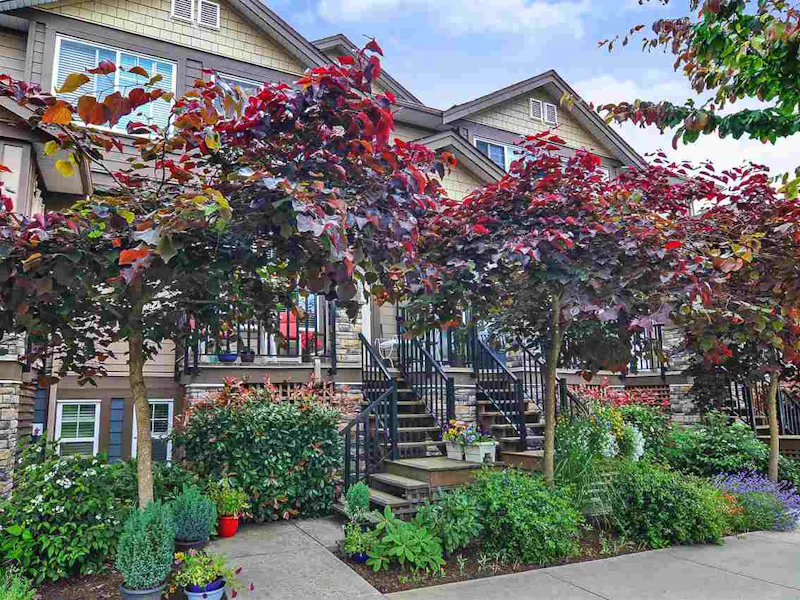 7 - 18818 71st Avenue, Surrey BC
