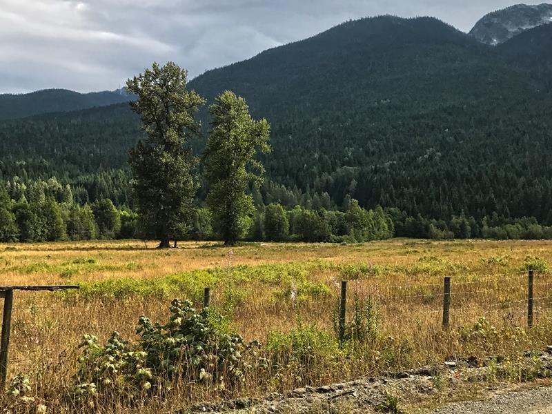 DL 969 Blackwater Road, Pemberton, BC, V0N 1L0