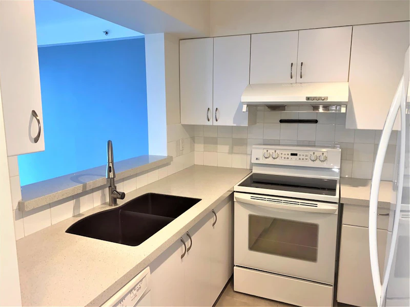 308 - 288 E 8th Avenue, Vancouver BC V5T 4S8