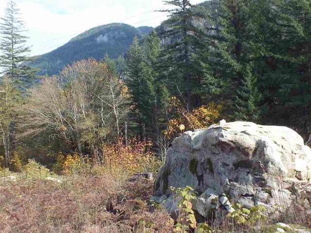 65457 Norton Road, Hope, BC, V0X 1L4
