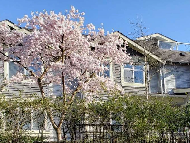 45 - 7428 Southwynde Avenue, Burnaby BC V3N 0A1