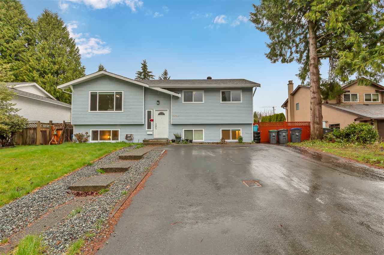 14845 95a Avenue, Surrey, BC, V3R 8A8