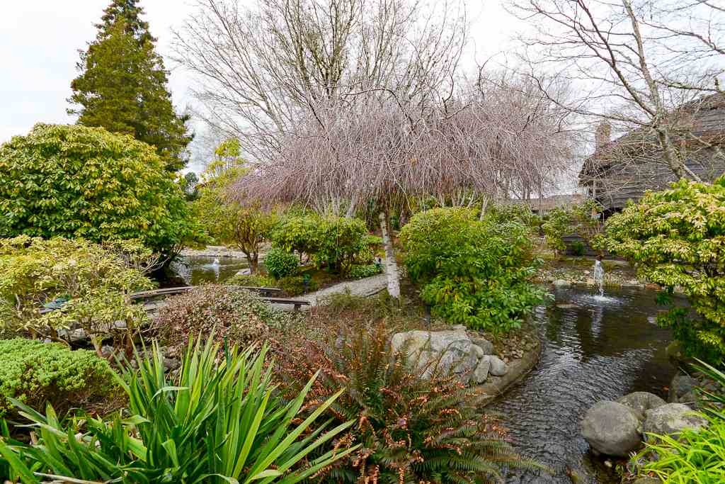 24-8111 Saunders Road, Richmond, BC, V7A 4L9