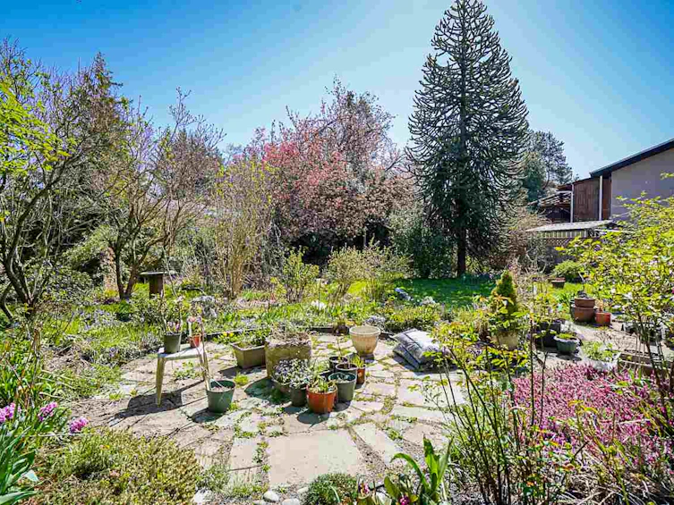 9134 Armitage Street, Chilliwack, BC, V2P 6R7 - 38