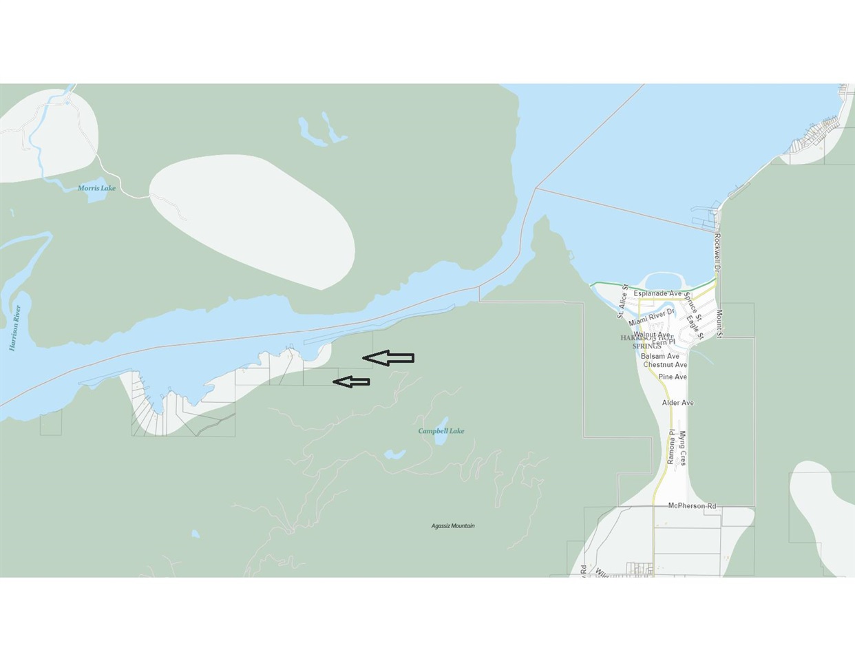 SW 1/4-PORTION South Harrison River, Harrison Hot Springs, BC, V0M 1K0