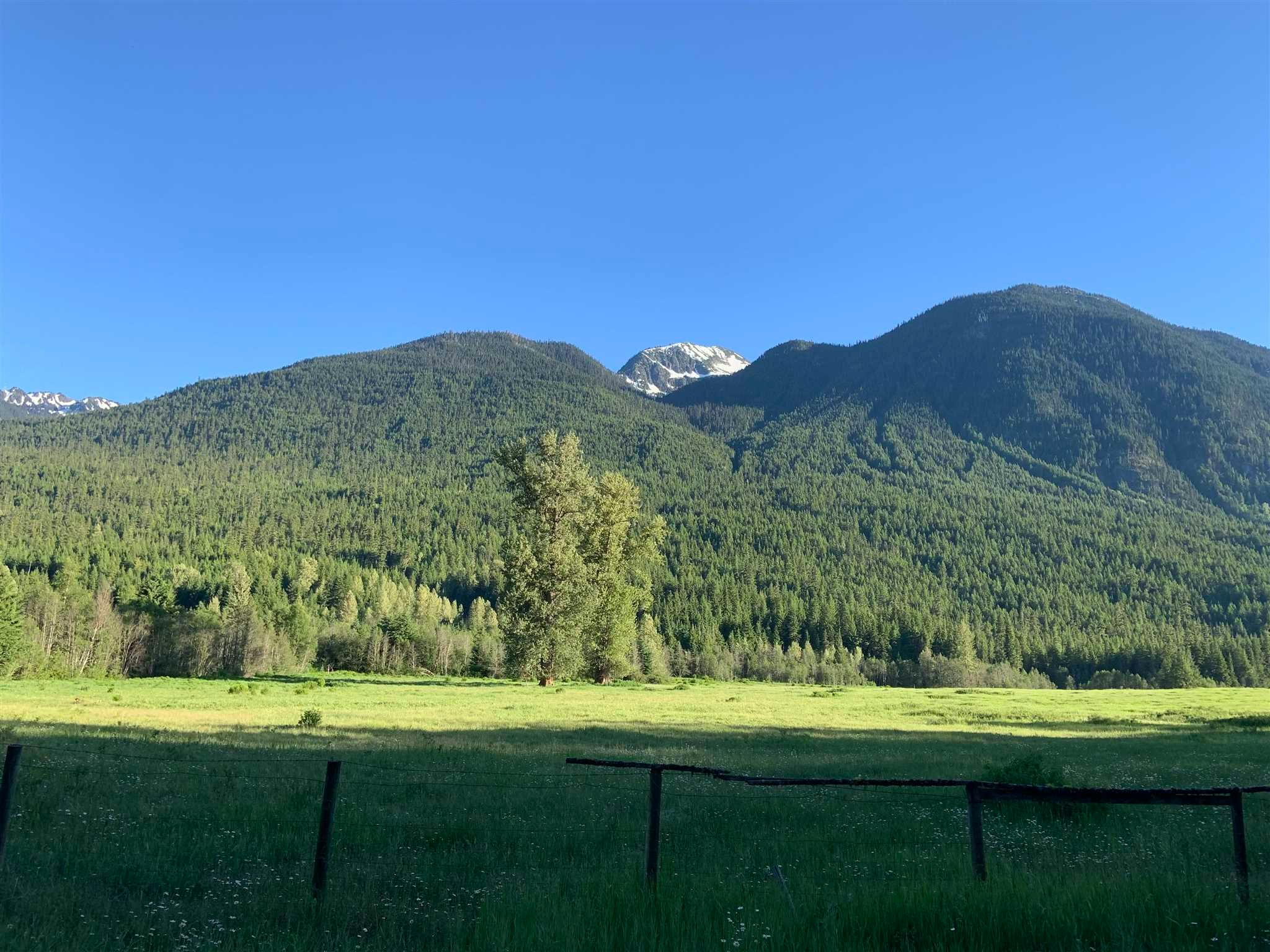 DL 969 Blackwater Road, Pemberton, BC, V0N 1L0