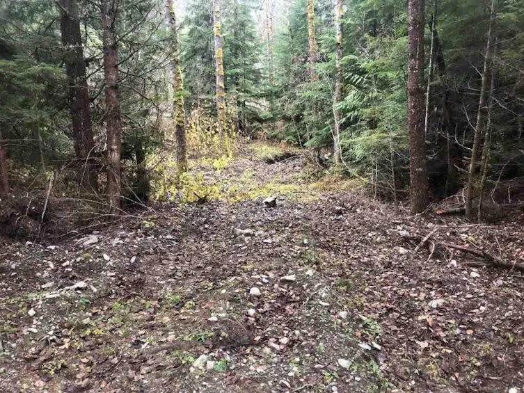 SVE01 Old Hope Princeton Highway, Hope, BC, V0X 1L5