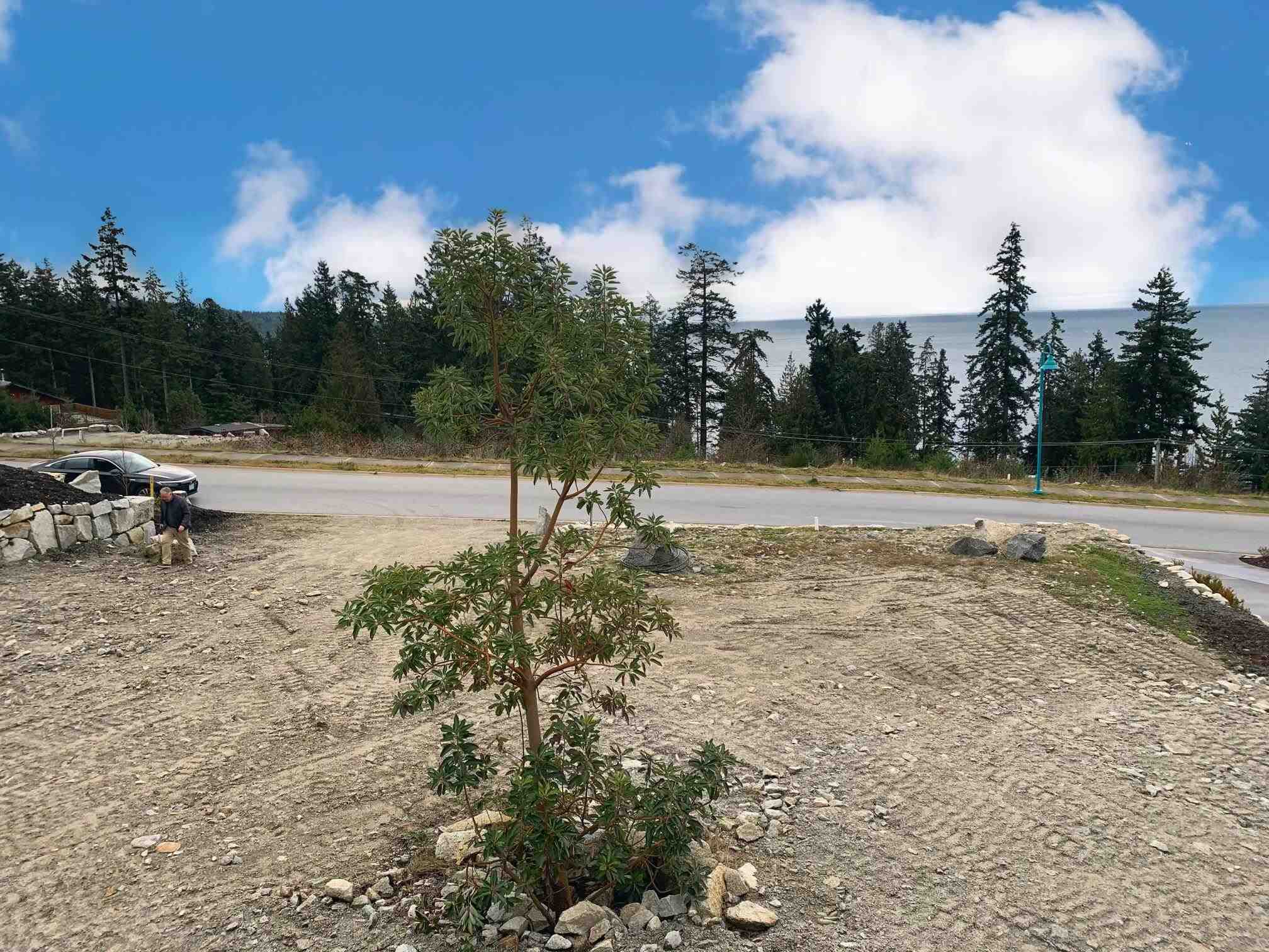 Lot 21 Barnacle Street, Sechelt, BC, V0N 3A0