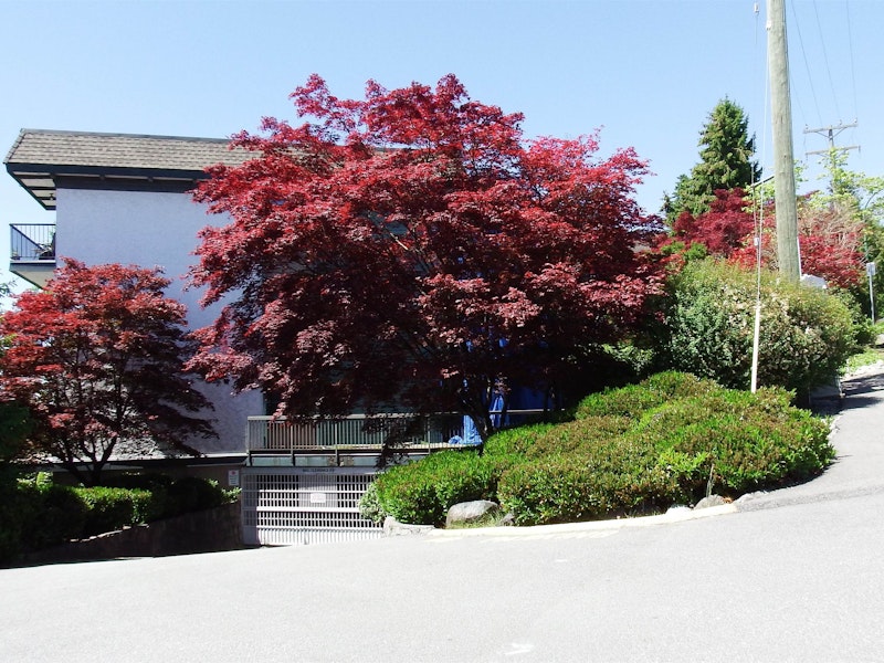 213 - 5450 Empire Drive, Burnaby BC V5B 1N4