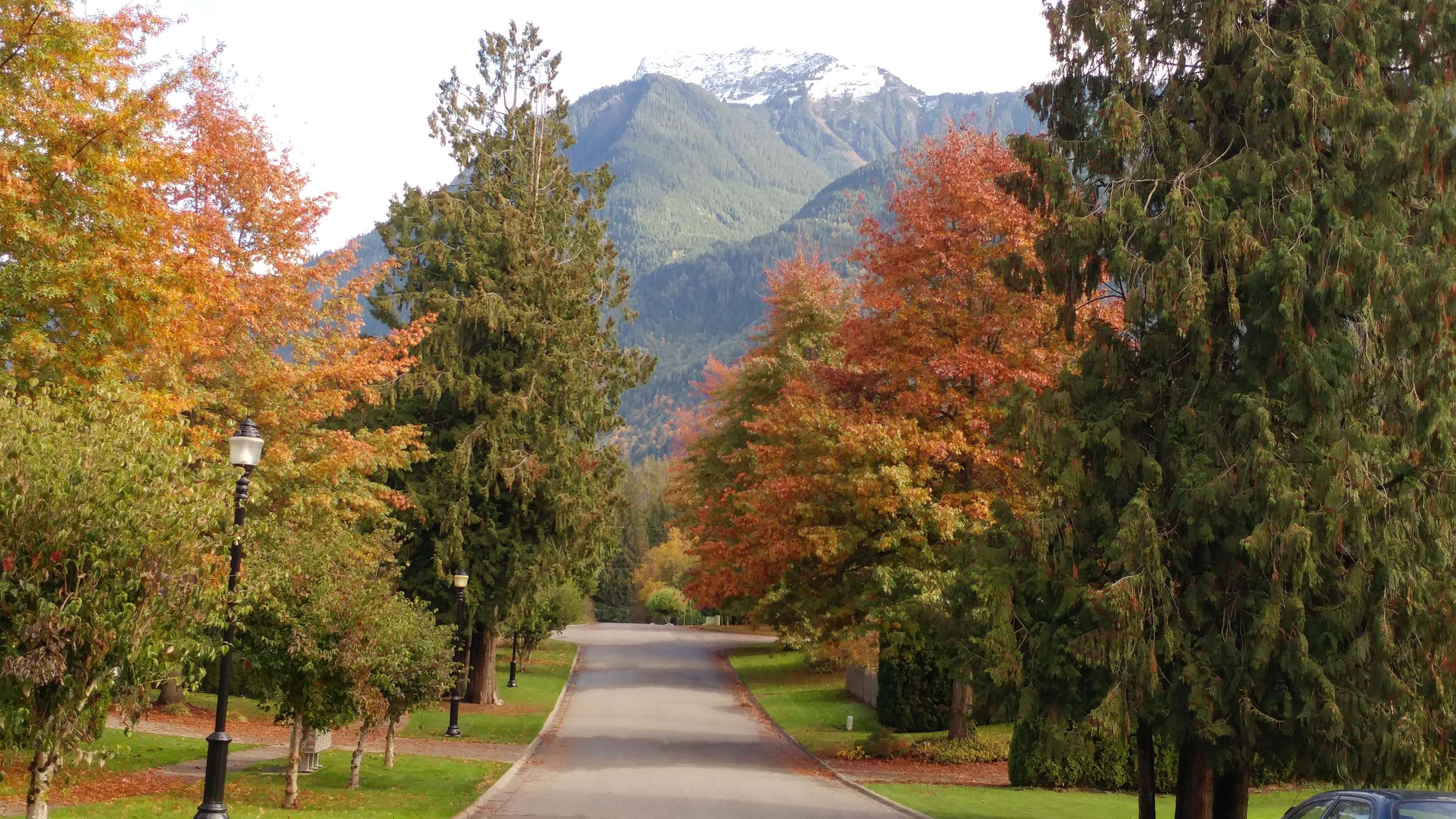 10101 Parkwood Drive, Chilliwack, BC, V0X 1X1