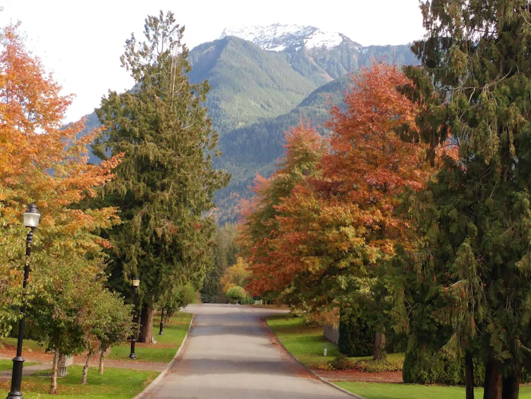 10101 Parkwood Drive, Chilliwack, BC, V0X 1X1