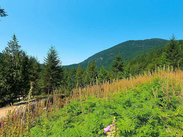 Lot 6 Forster Lane, Bowen Island, BC, V0N 1G2
