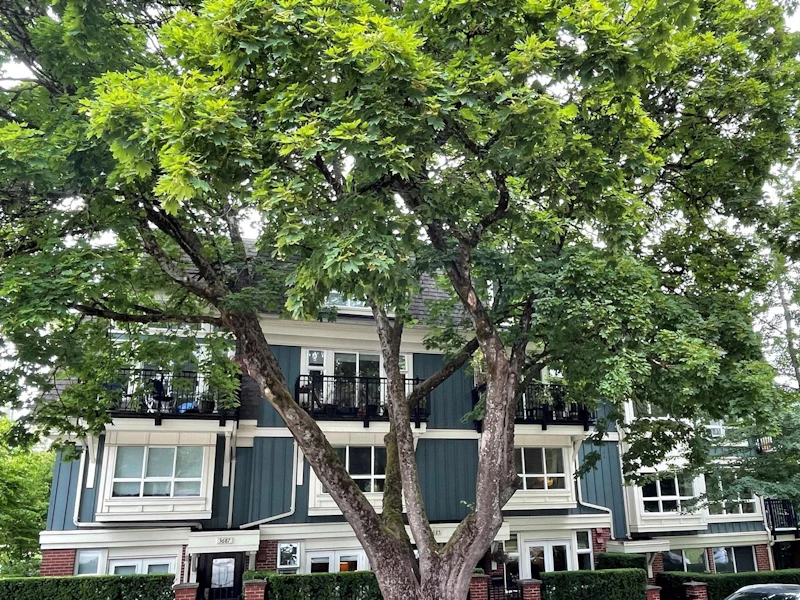 3685 W 12th Avenue, Vancouver BC V6R 2N5