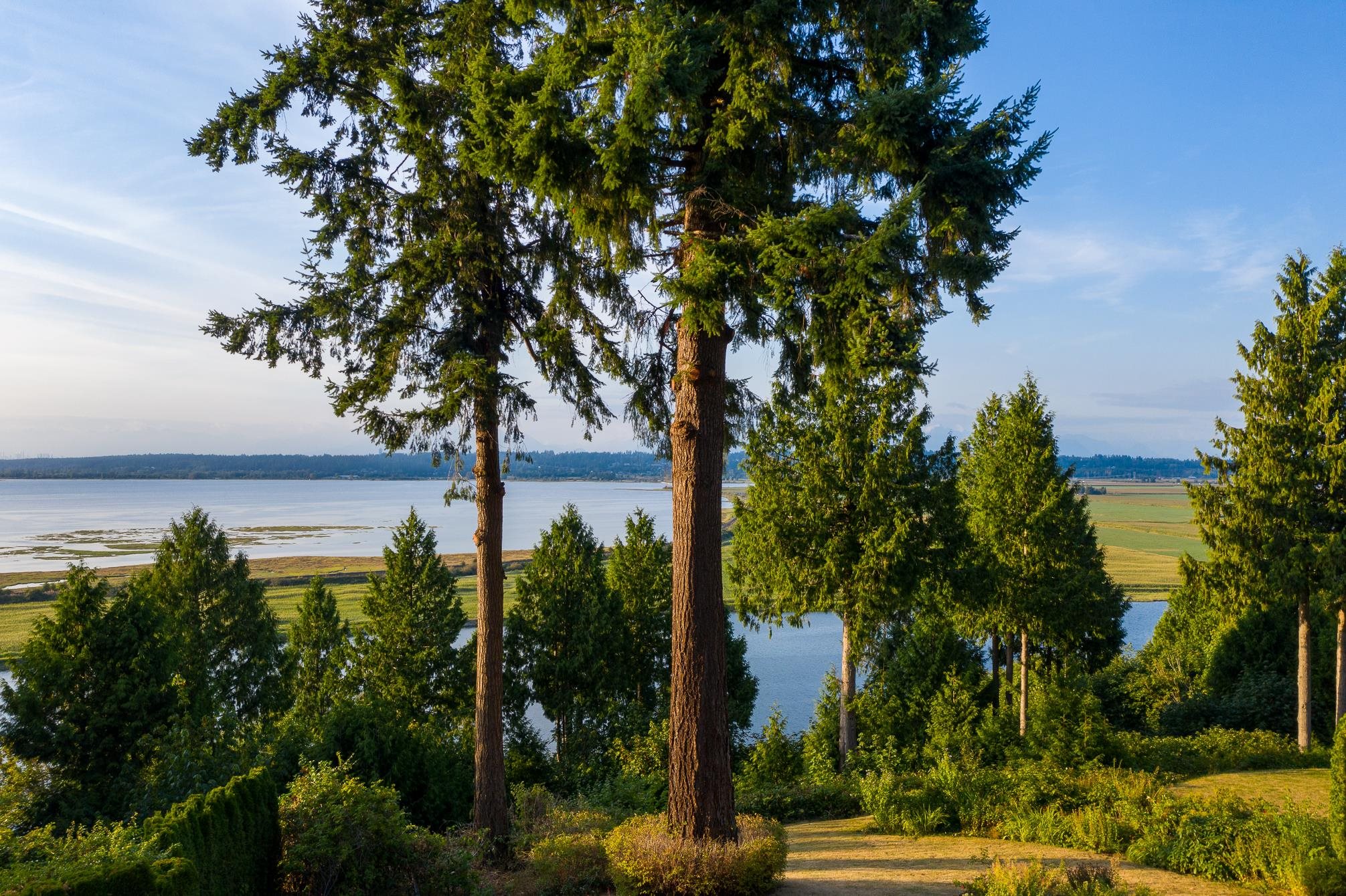 13035 Crescent Road, Surrey, BC, V4P 1J6