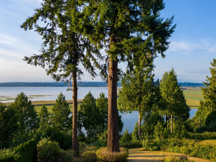 13035 Crescent Road, Surrey, BC, V4P 1J6