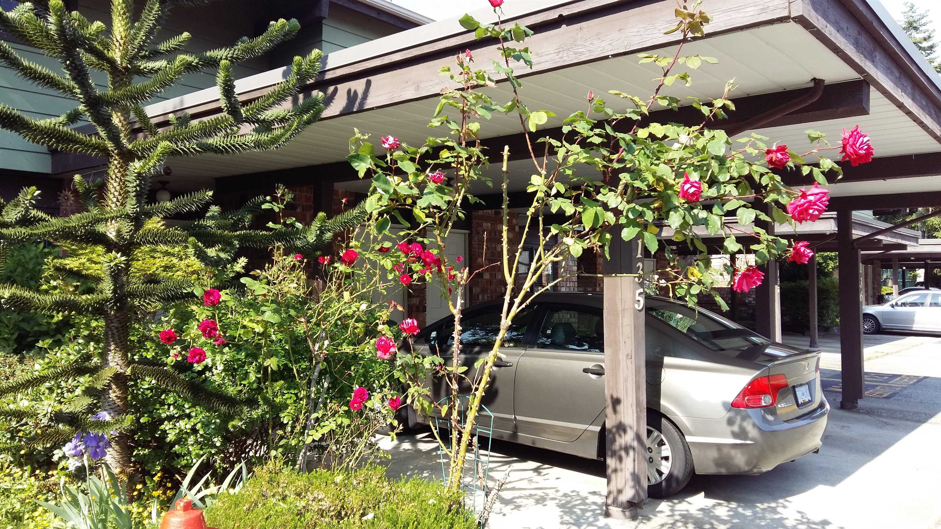 135-7480 138 Street, Surrey, BC, V3W 6G4