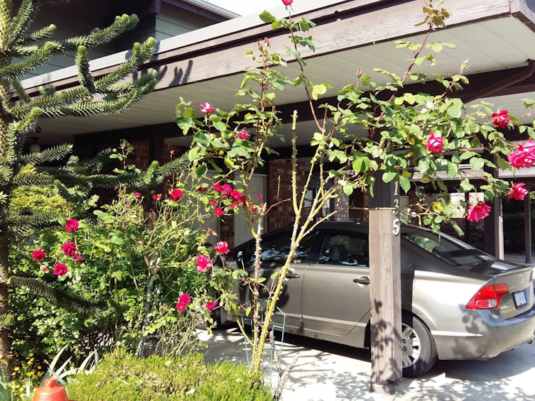 135-7480 138 Street, Surrey, BC, V3W 6G4