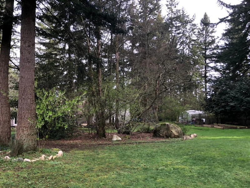14326 28th Avenue, Surrey BC V4P 2H1