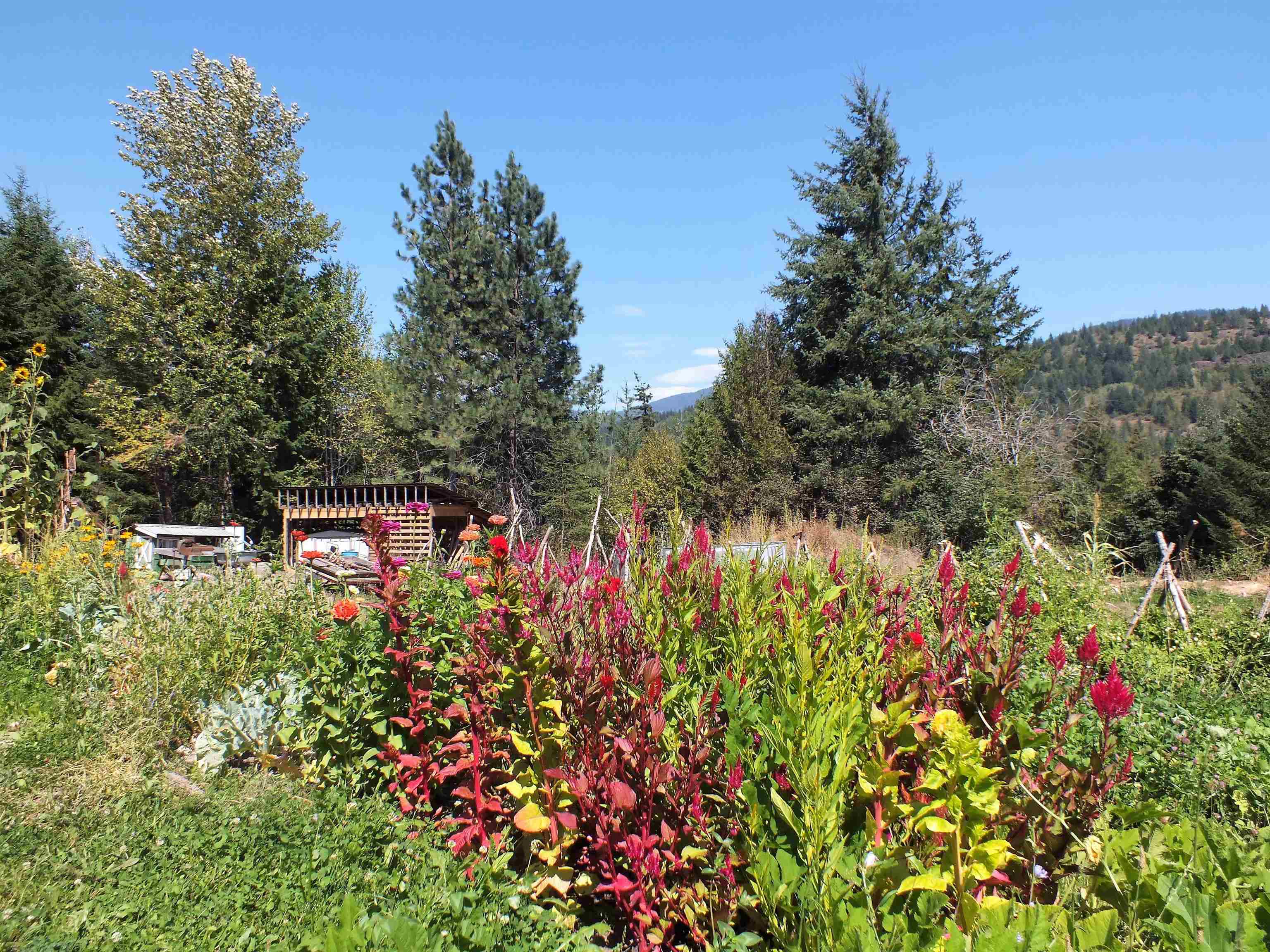 53202 Chaumox Road, Hope, BC, V0K 1C0 - 9