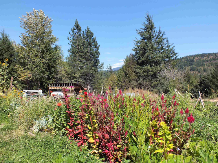 53202 Chaumox Road, Hope, BC, V0K 1C0 - 9