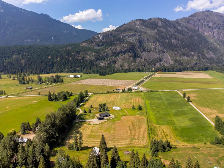 3085 Lois Road, Pemberton, BC, V0N 2L2 - 2