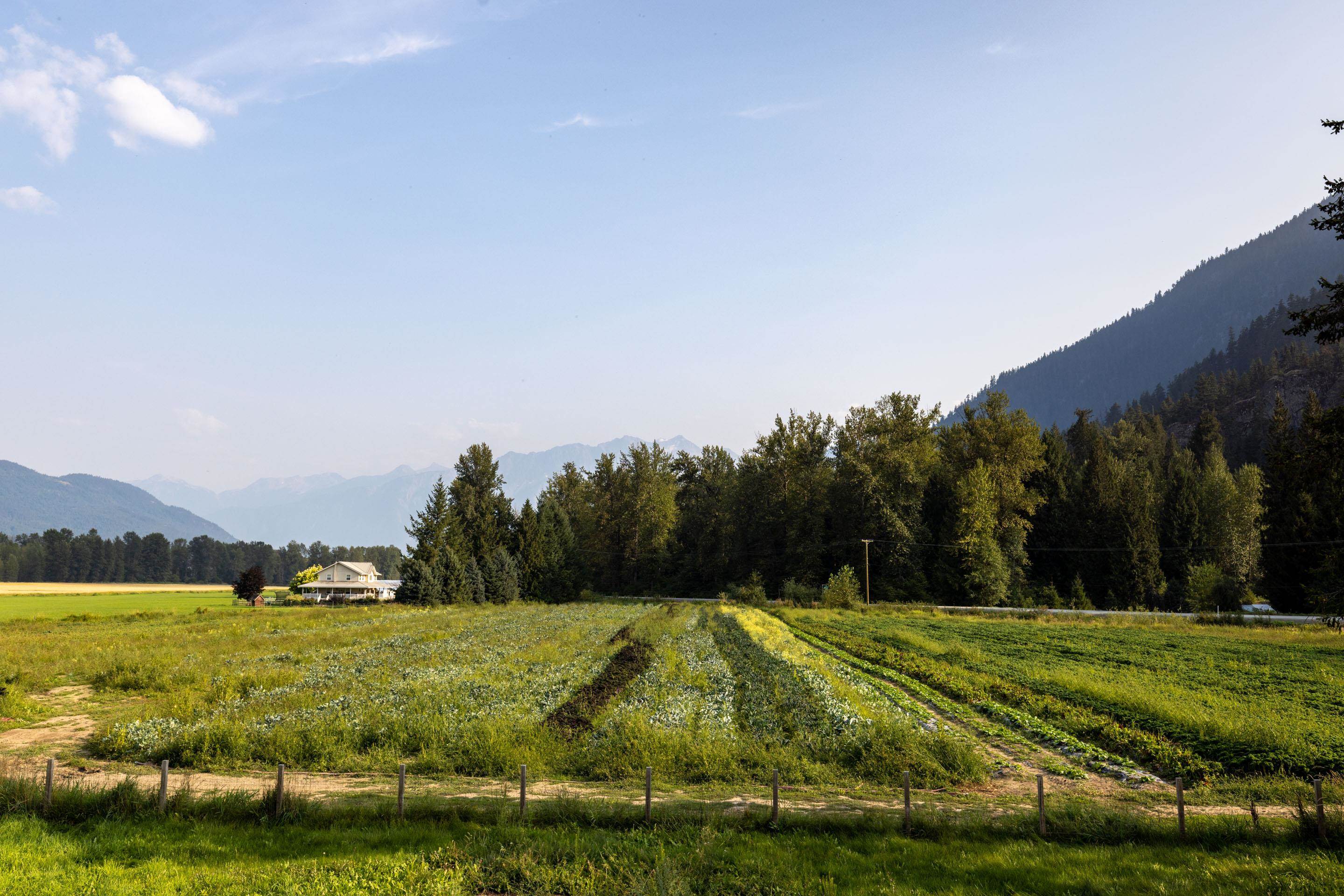 8184 Pemberton Meadows Road, Pemberton, BC, V0N 2L2 - 3