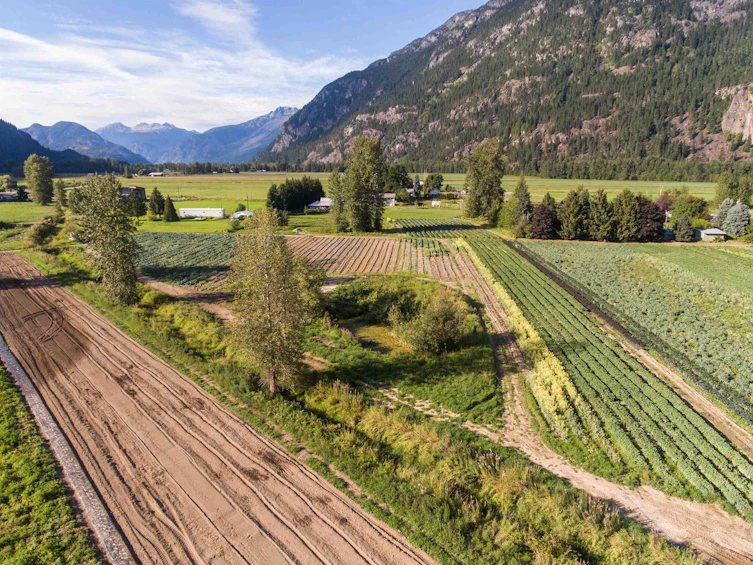 8184 Pemberton Meadows Road, Pemberton, BC, V0N 2L2 - 23