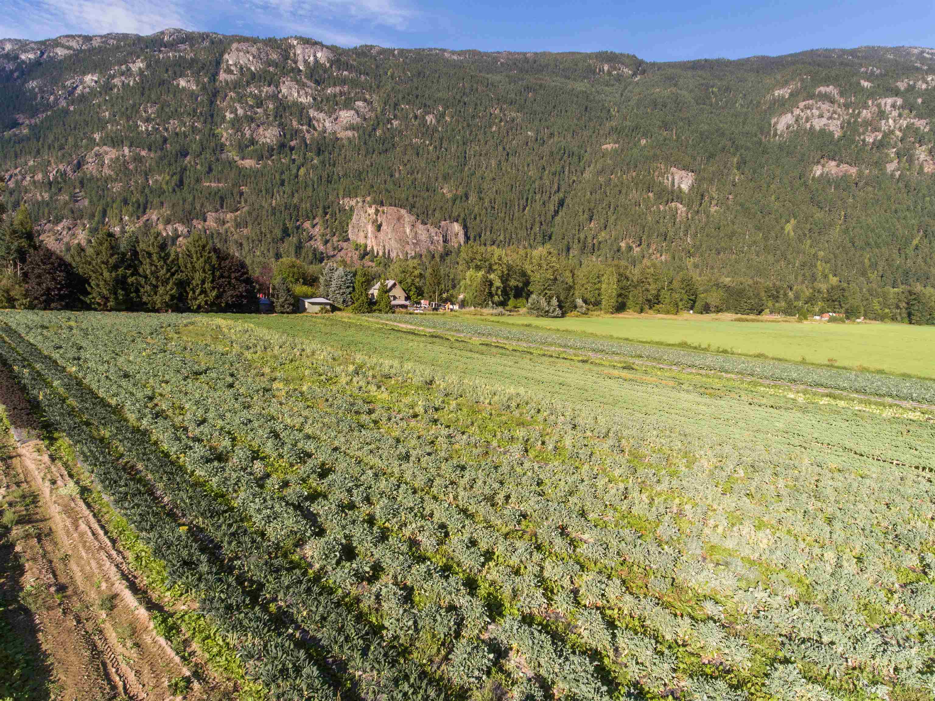 8184 Pemberton Meadows Road, Pemberton, BC, V0N 2L2 - 25