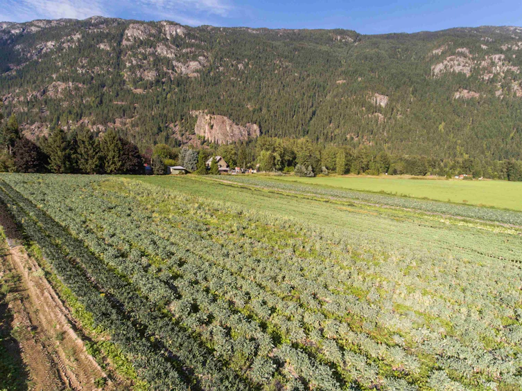 8184 Pemberton Meadows Road, Pemberton, BC, V0N 2L2 - 25