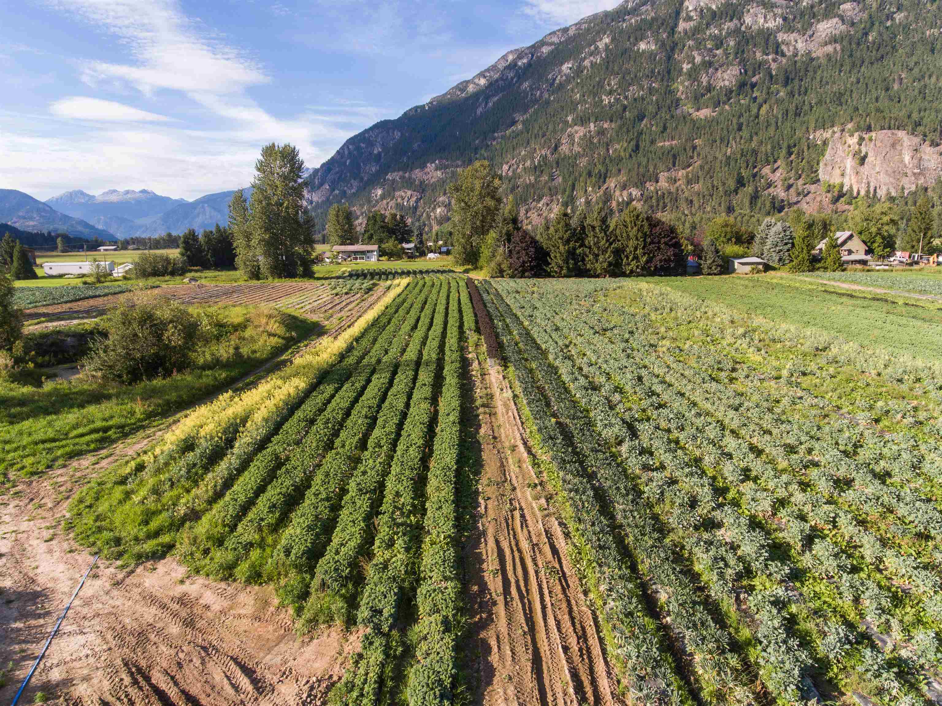 8184 Pemberton Meadows Road, Pemberton, BC, V0N 2L2 - 26