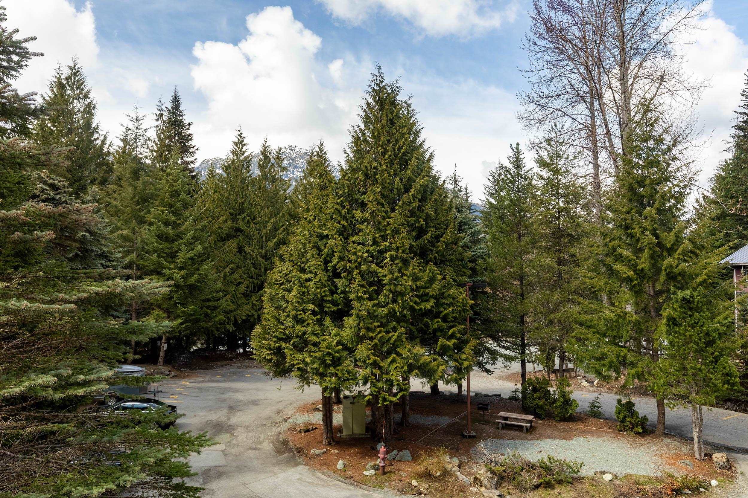 1L-2561 Tricouni Place, Whistler, BC, V8E 0A8 - 26