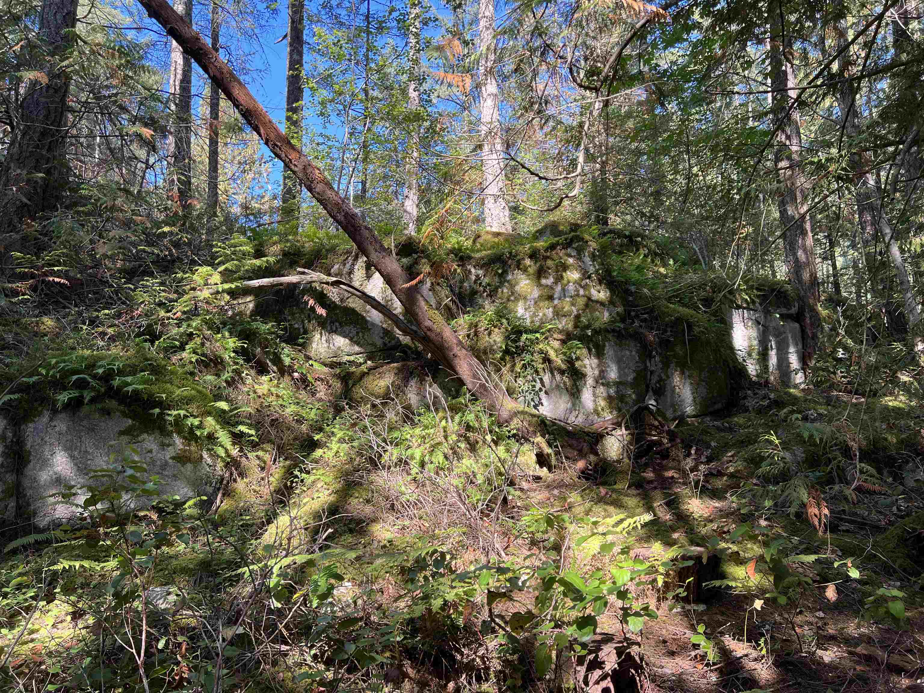 Lot-19 Tuwanek Place, Sechelt, BC, V7Z 0P4 - 8