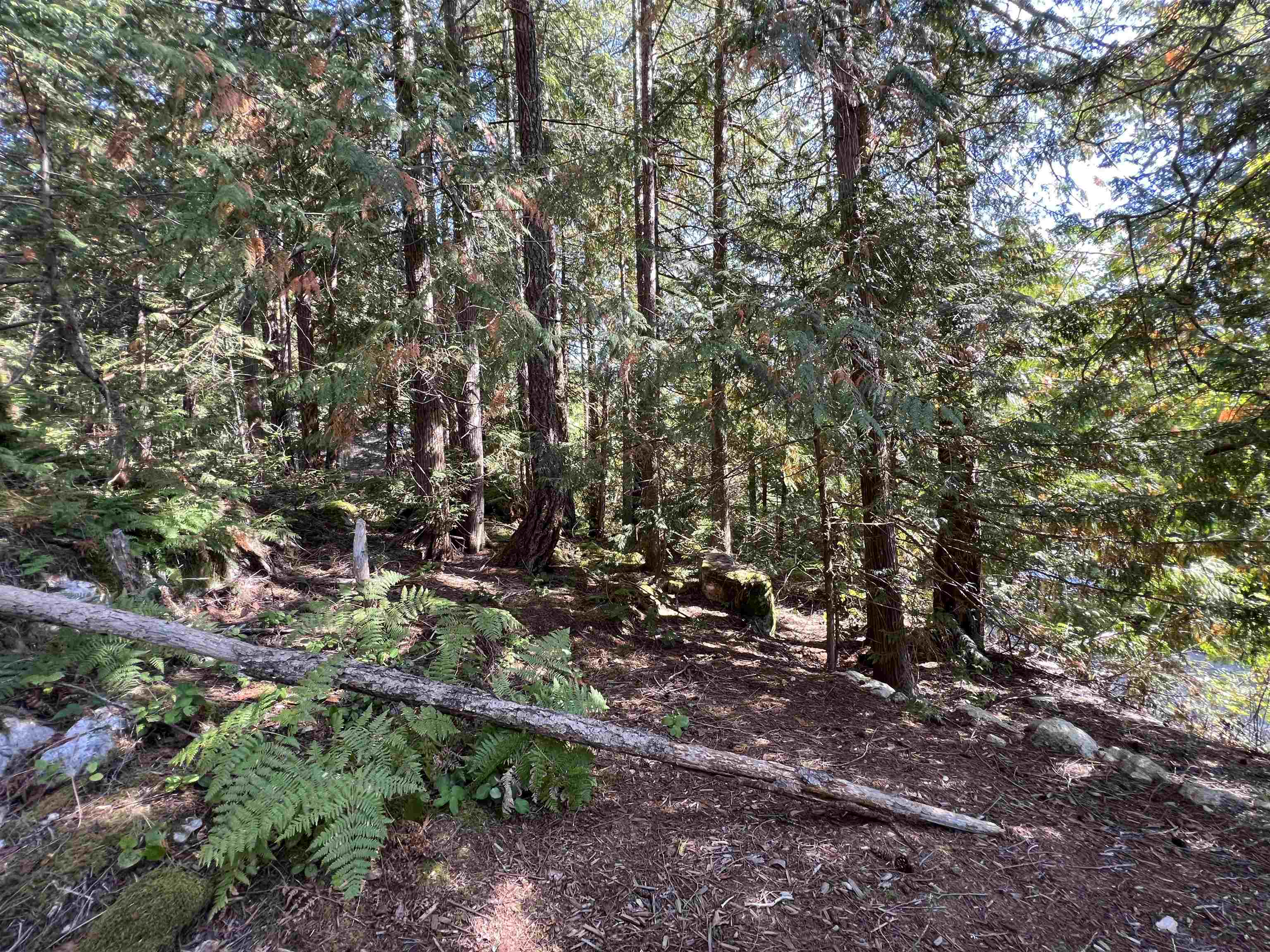 Lot-19 Tuwanek Place, Sechelt, BC, V7Z 0P4 - 9