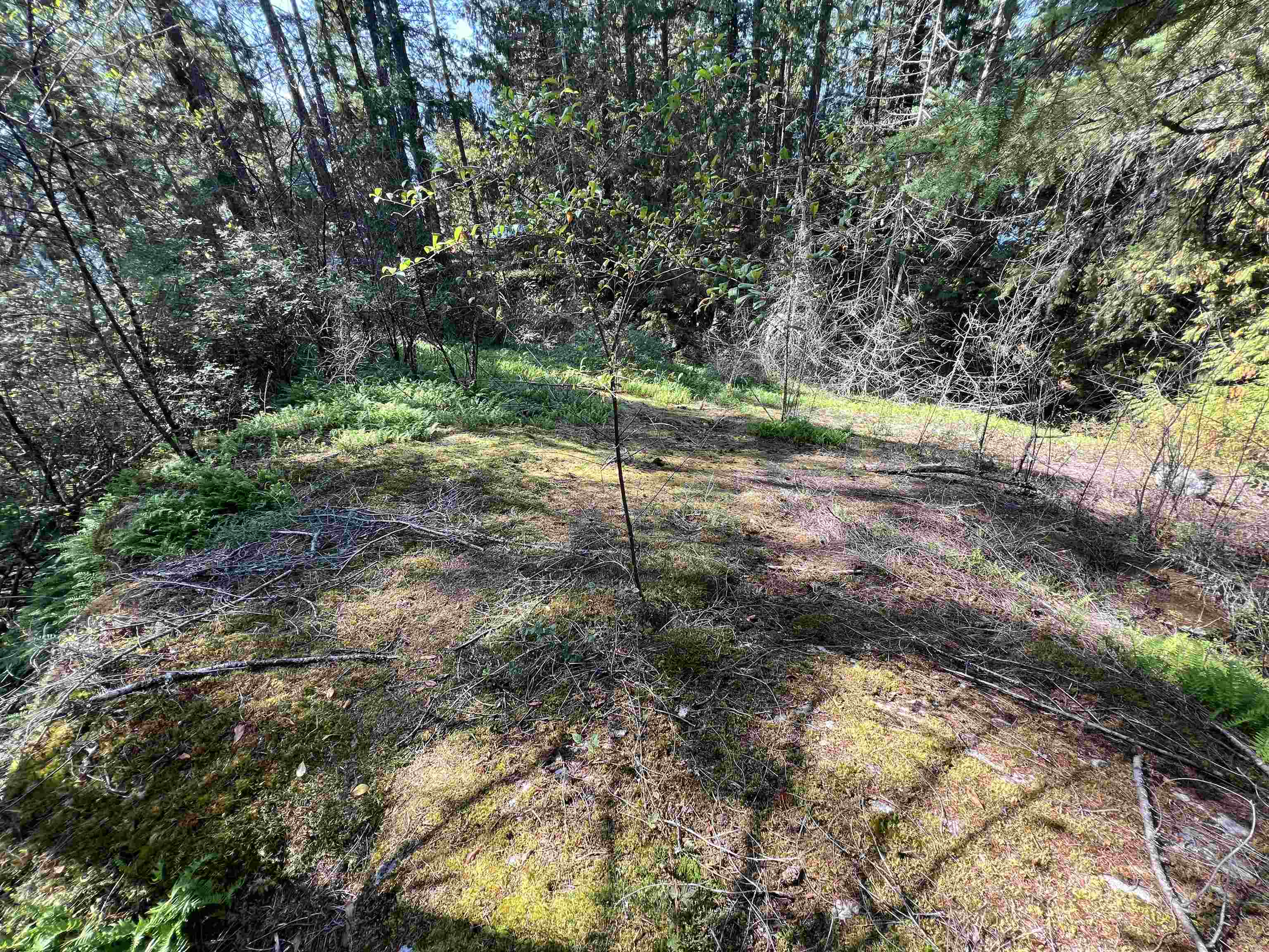 Lot-21 Sechelt Inlet Road, Sechelt, BC, V7Z 0C9 - 7