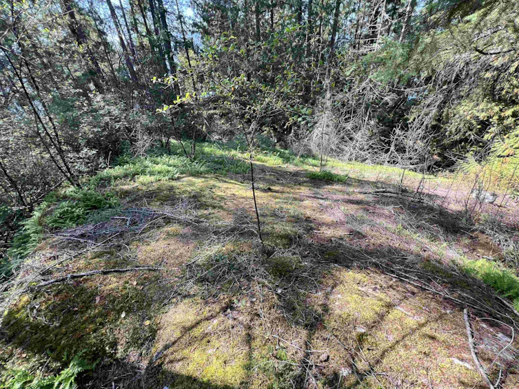 Lot-21 Sechelt Inlet Road, Sechelt, BC, V7Z 0C9 - 7