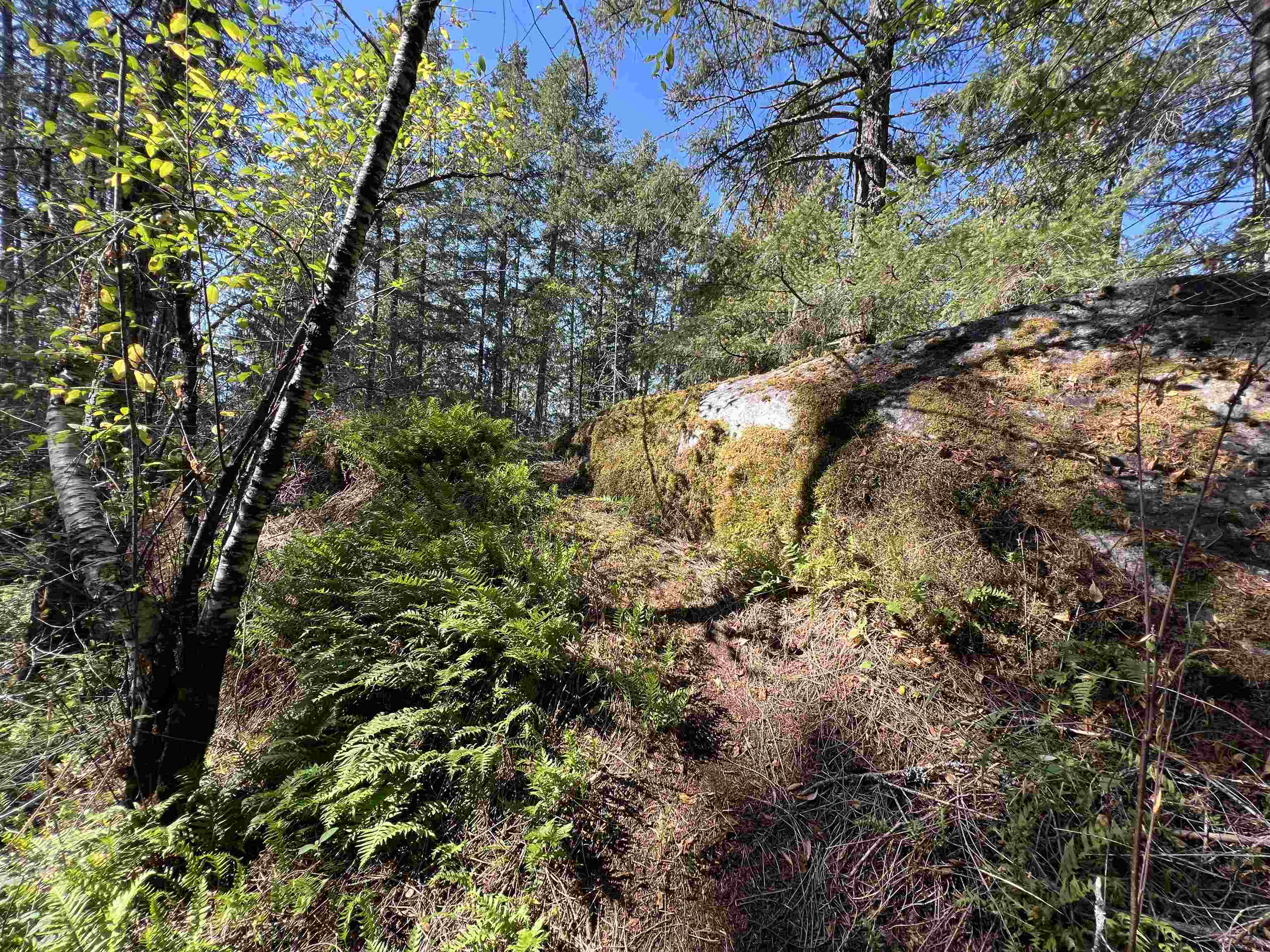 Lot-21 Sechelt Inlet Road, Sechelt, BC, V7Z 0C9 - 8