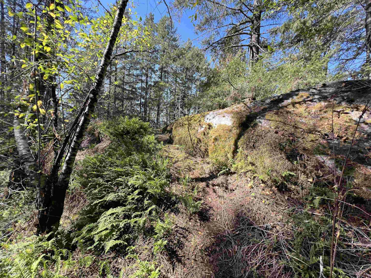 Lot-21 Sechelt Inlet Road, Sechelt, BC, V7Z 0C9 - 8
