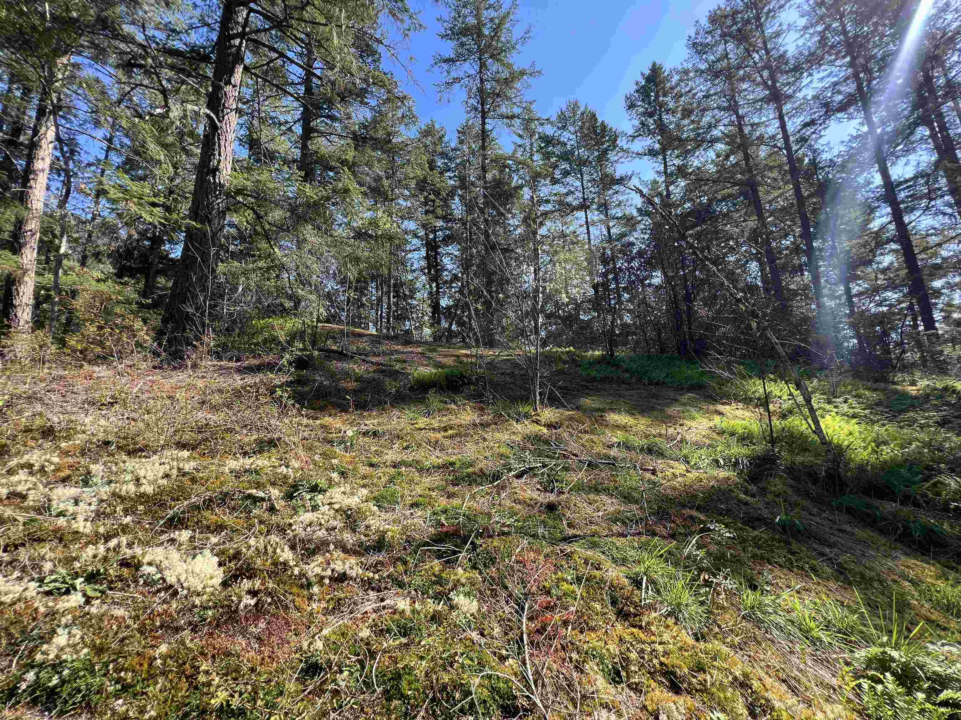 Lot-21 Sechelt Inlet Road, Sechelt, BC, V7Z 0C9 - 9