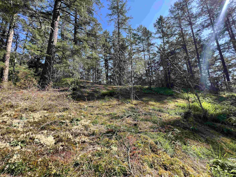Lot-21 Sechelt Inlet Road, Sechelt, BC, V7Z 0C9 - 9