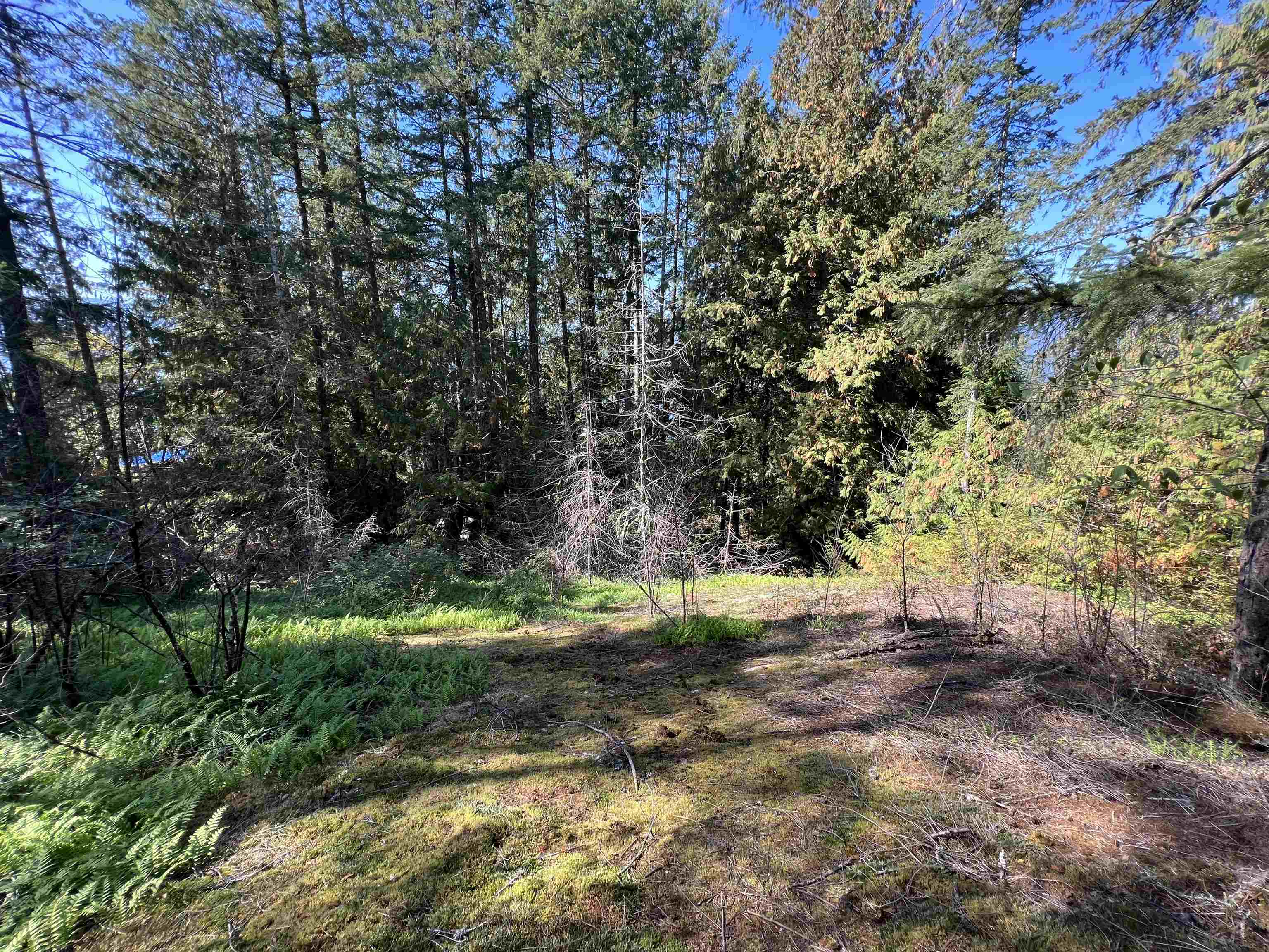 Lot-21 Sechelt Inlet Road, Sechelt, BC, V7Z 0C9 - 10