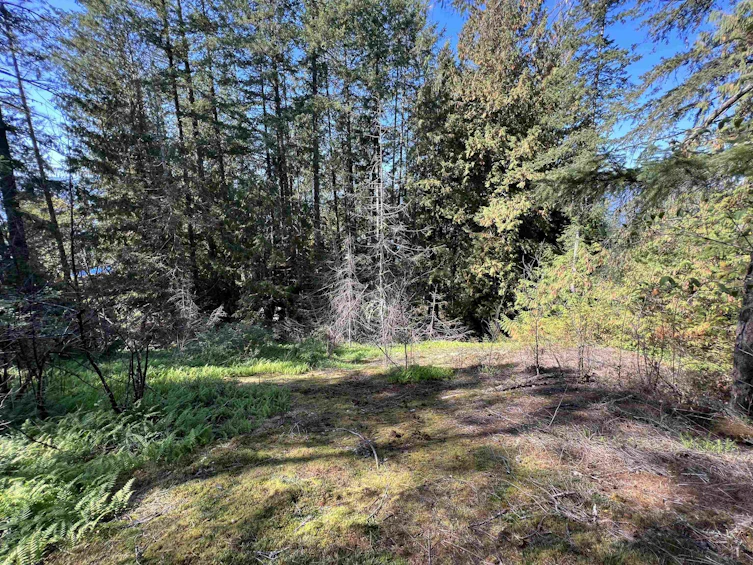 Lot-21 Sechelt Inlet Road, Sechelt, BC, V7Z 0C9 - 10