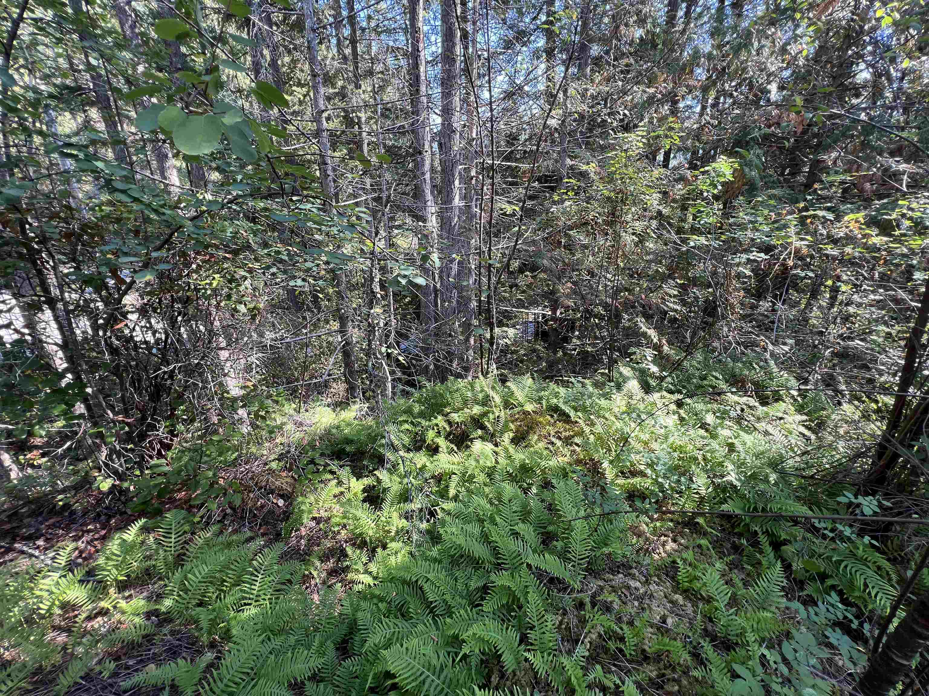 Lot-21 Sechelt Inlet Road, Sechelt, BC, V7Z 0C9 - 11