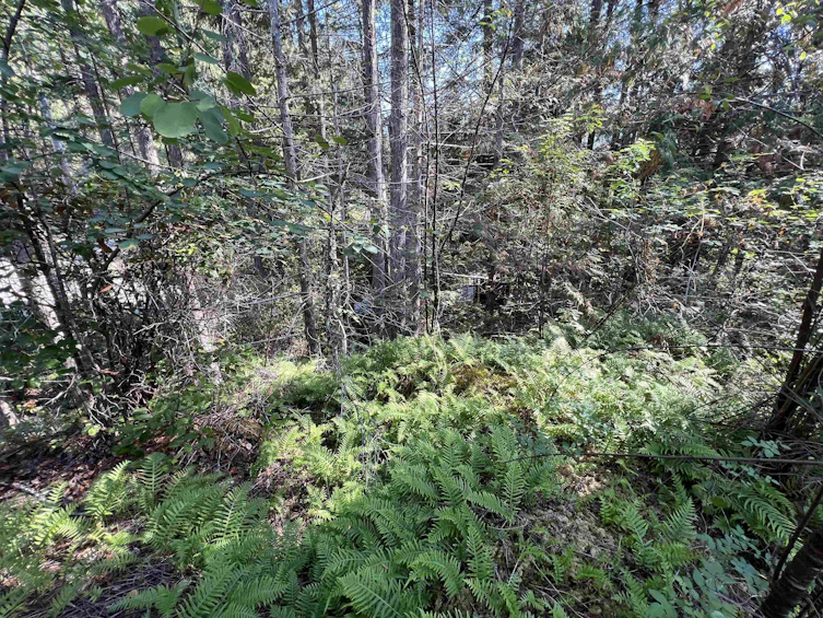 Lot-21 Sechelt Inlet Road, Sechelt, BC, V7Z 0C9 - 11