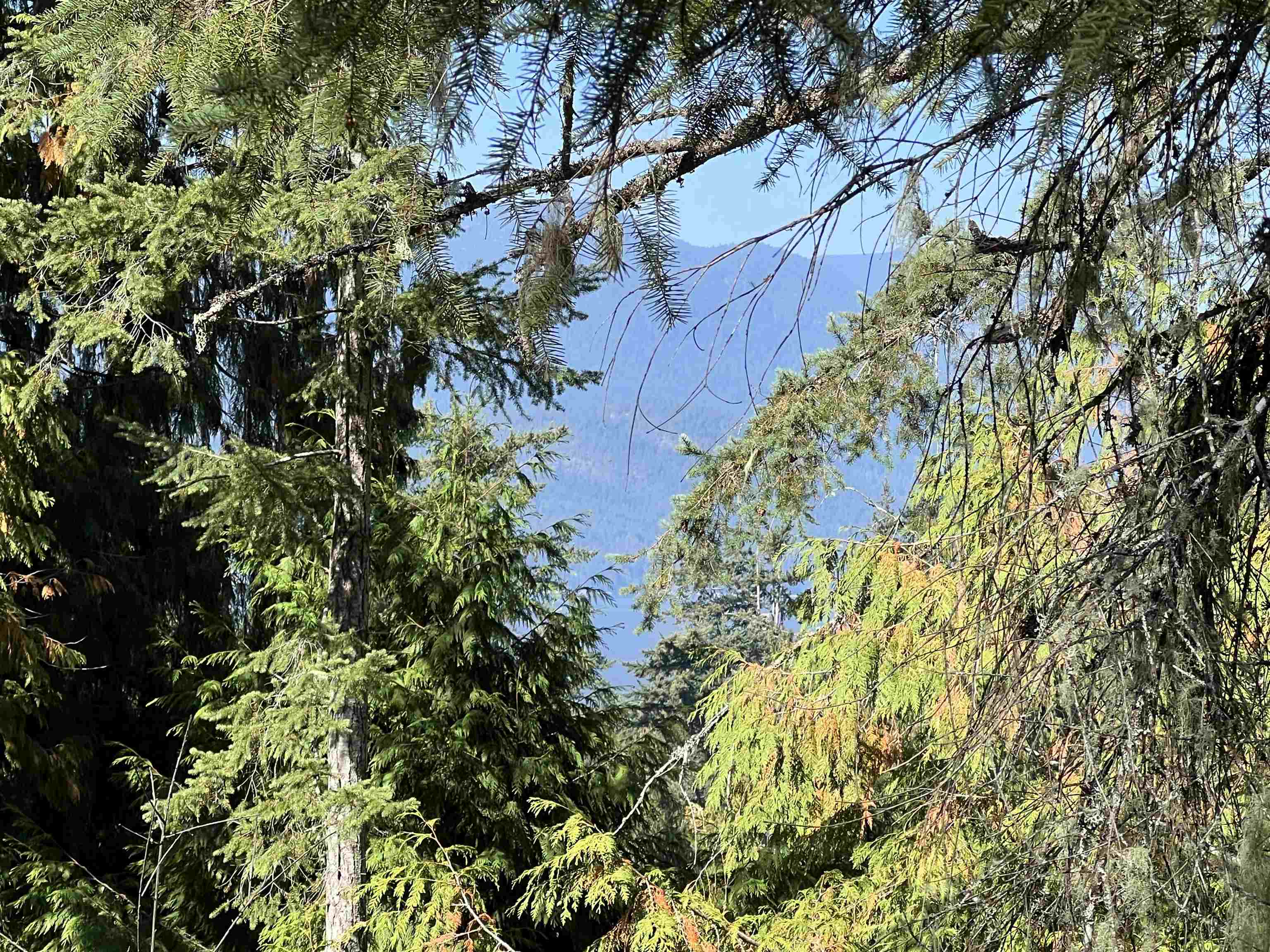 Lot-21 Sechelt Inlet Road, Sechelt, BC, V7Z 0C9 - 12
